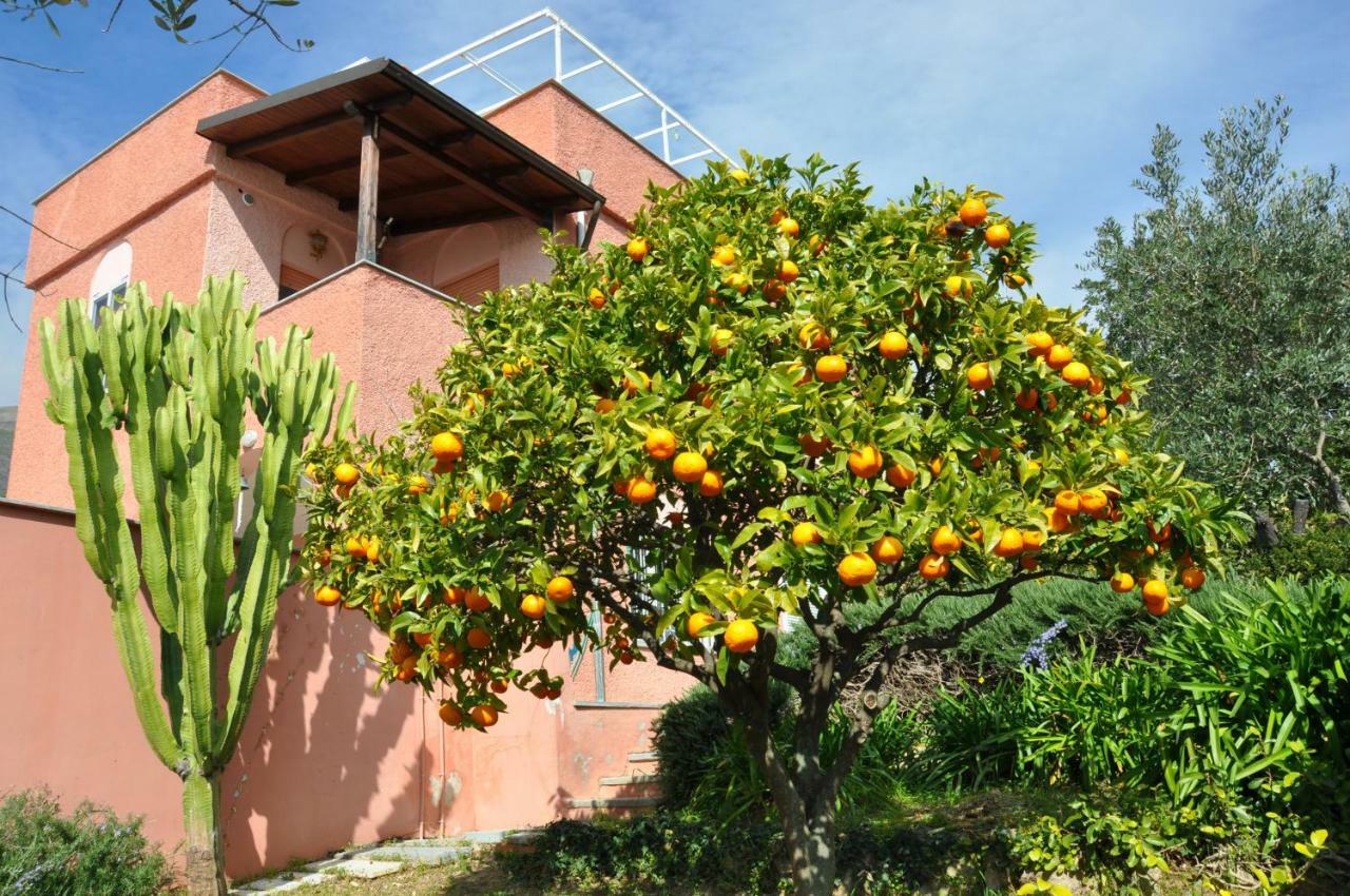 Villa Paolina Ceriale - App. 4 Posti エクステリア 写真